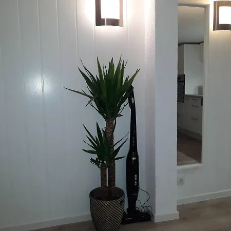 Altstadt Apartment *