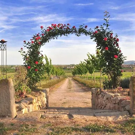 Apartamento Altstadt