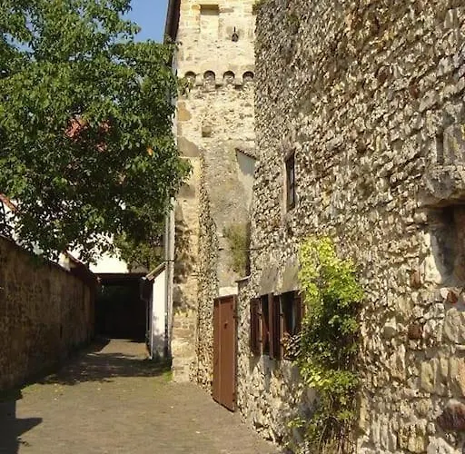 Altstadt Lägenhet Freinsheim